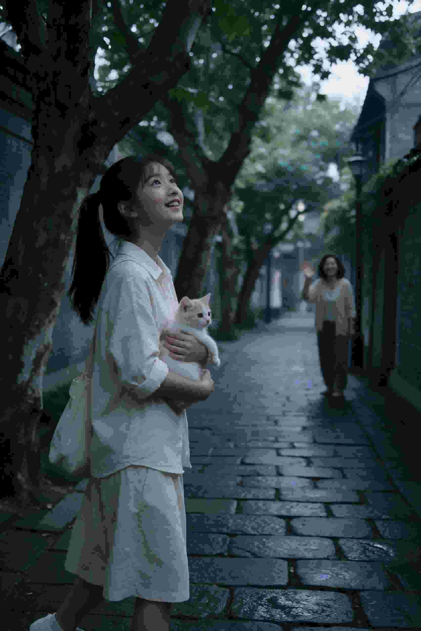 推荐6